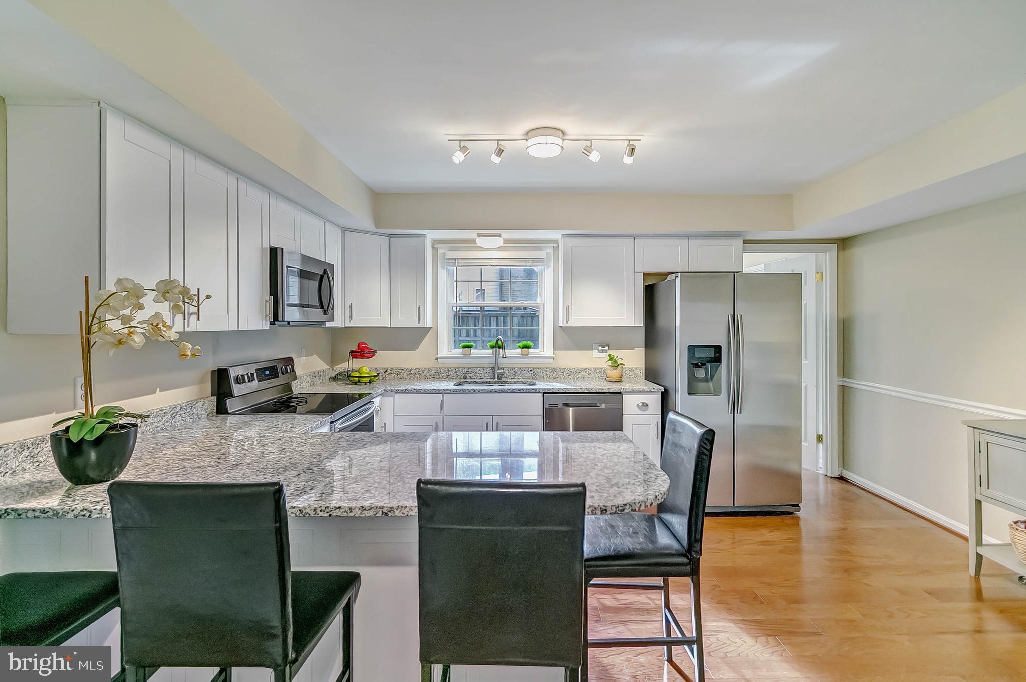 4513 Lees Corner Road Chantilly, VA 20151 - Photo 6 of 28 Breakfast bar