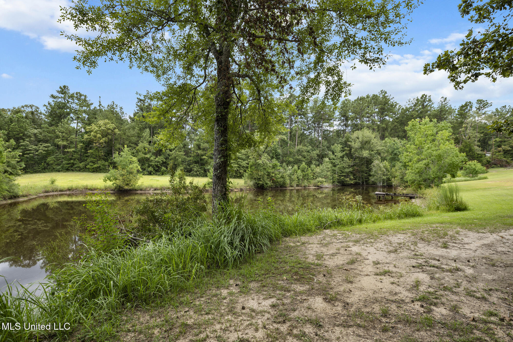 48 Brady Road Petal, MS 39465 - Photo 4 of 34 4