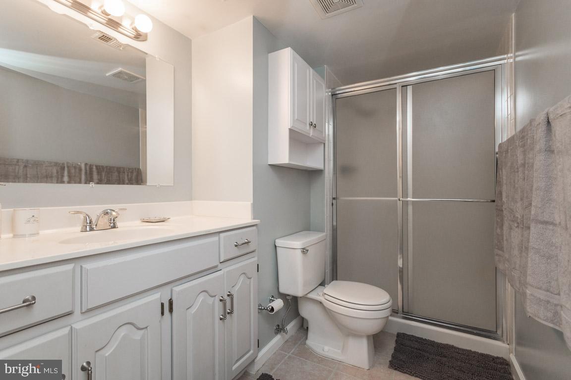 2110 Green Watch Way, Unit 201 Reston, VA 20191 - Photo 23 of 35 en suite bathroom