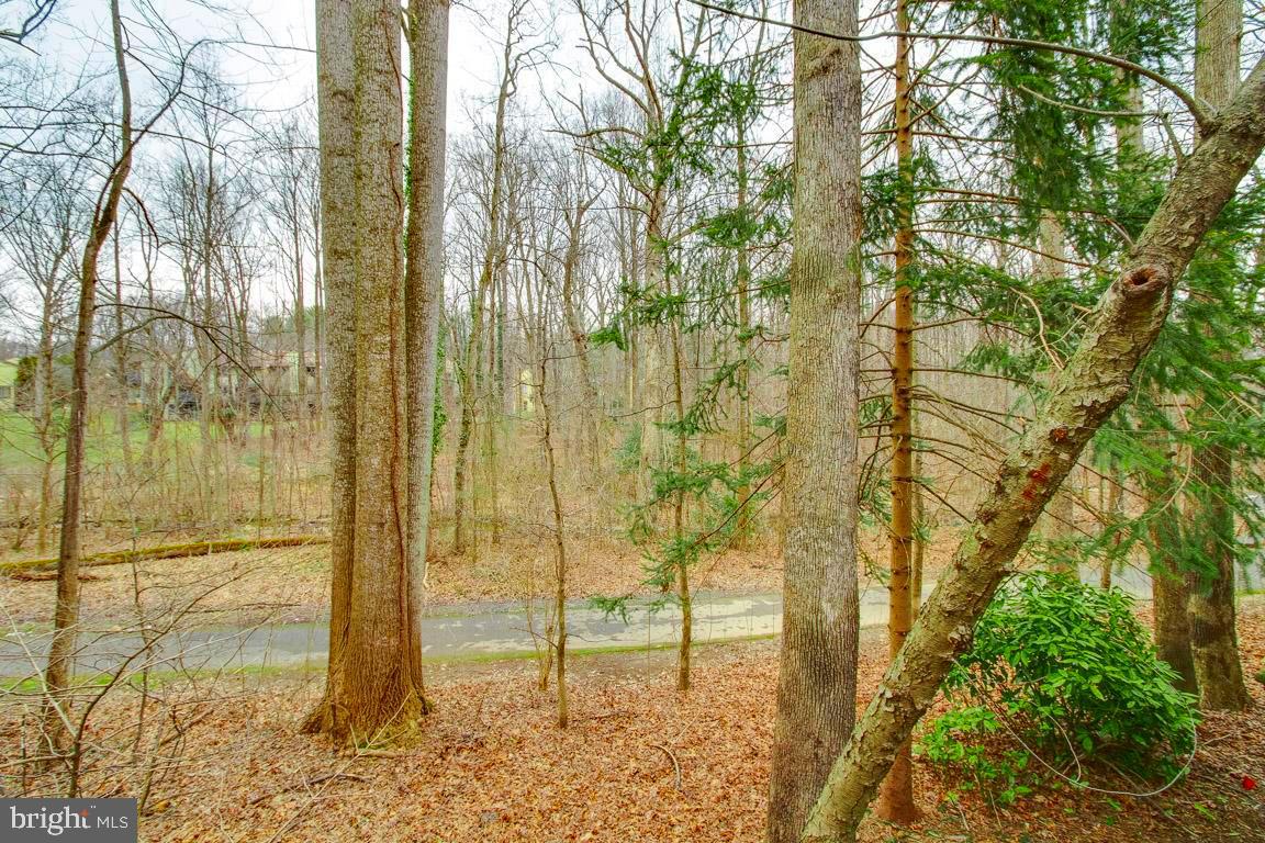 2110 Green Watch Way, Unit 201 Reston, VA 20191 - Photo 29 of 35 Gallery Image 29