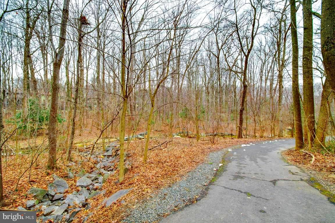 2110 Green Watch Way, Unit 201 Reston, VA 20191 - Photo 30 of 35 Views from deck