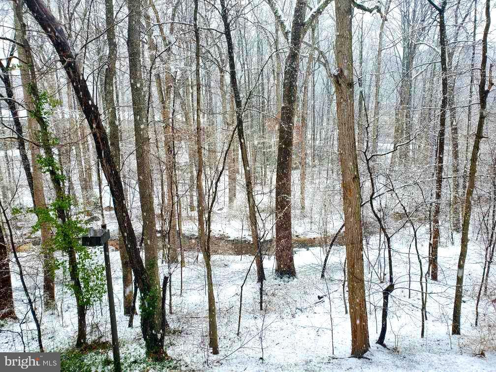 2110 Green Watch Way, Unit 201 Reston, VA 20191 - Photo 4 of 35 Beautiful view of the stream and trees looking out