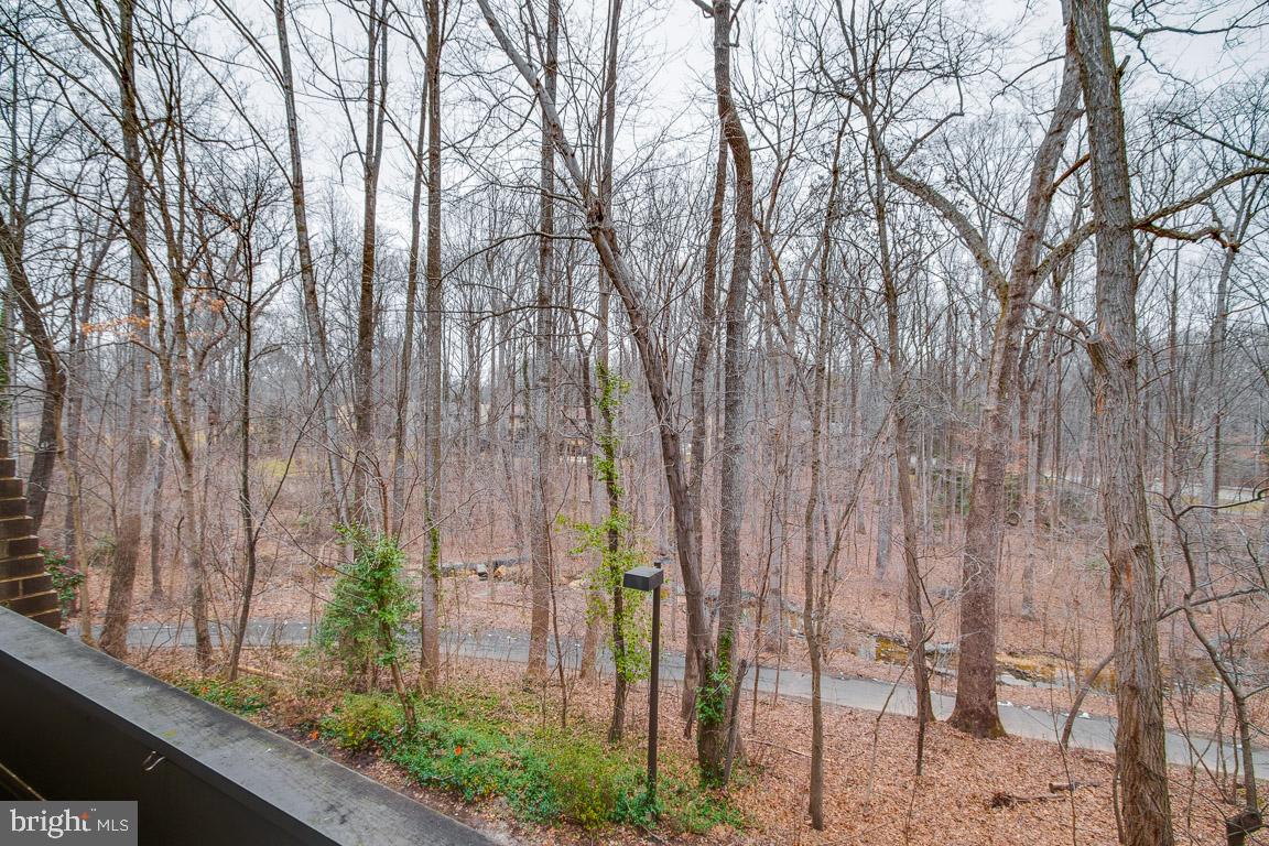 2110 Green Watch Way, Unit 201 Reston, VA 20191 - Photo 33 of 35 Gallery Image 33