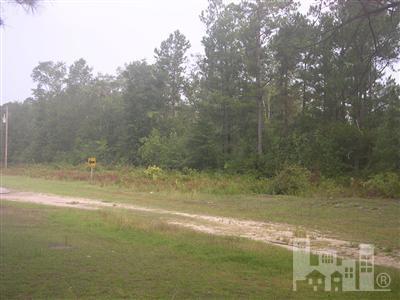 472 Sandy Bend Road Rocky Point, NC 28457 - Photo 3 of 4 Additional Photo