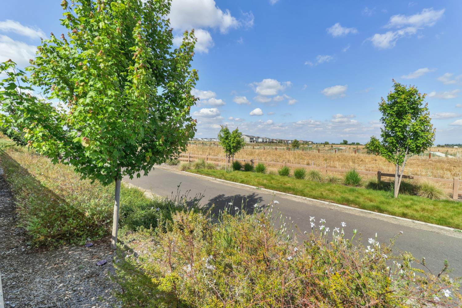 7606 Afonso Way Elk Grove, CA 95757 - Photo 60 of 79