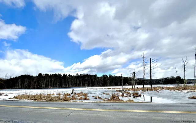 a view of a lake with boats and trees