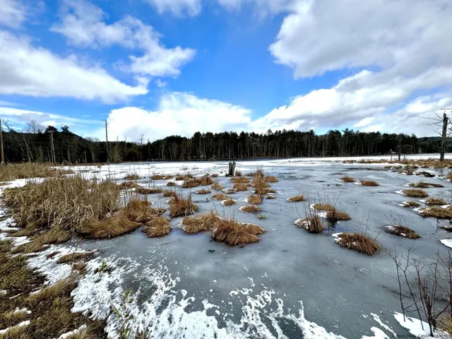 a view of yard with ocean view
