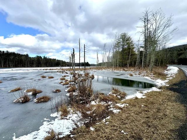 a view of outdoor space with trees