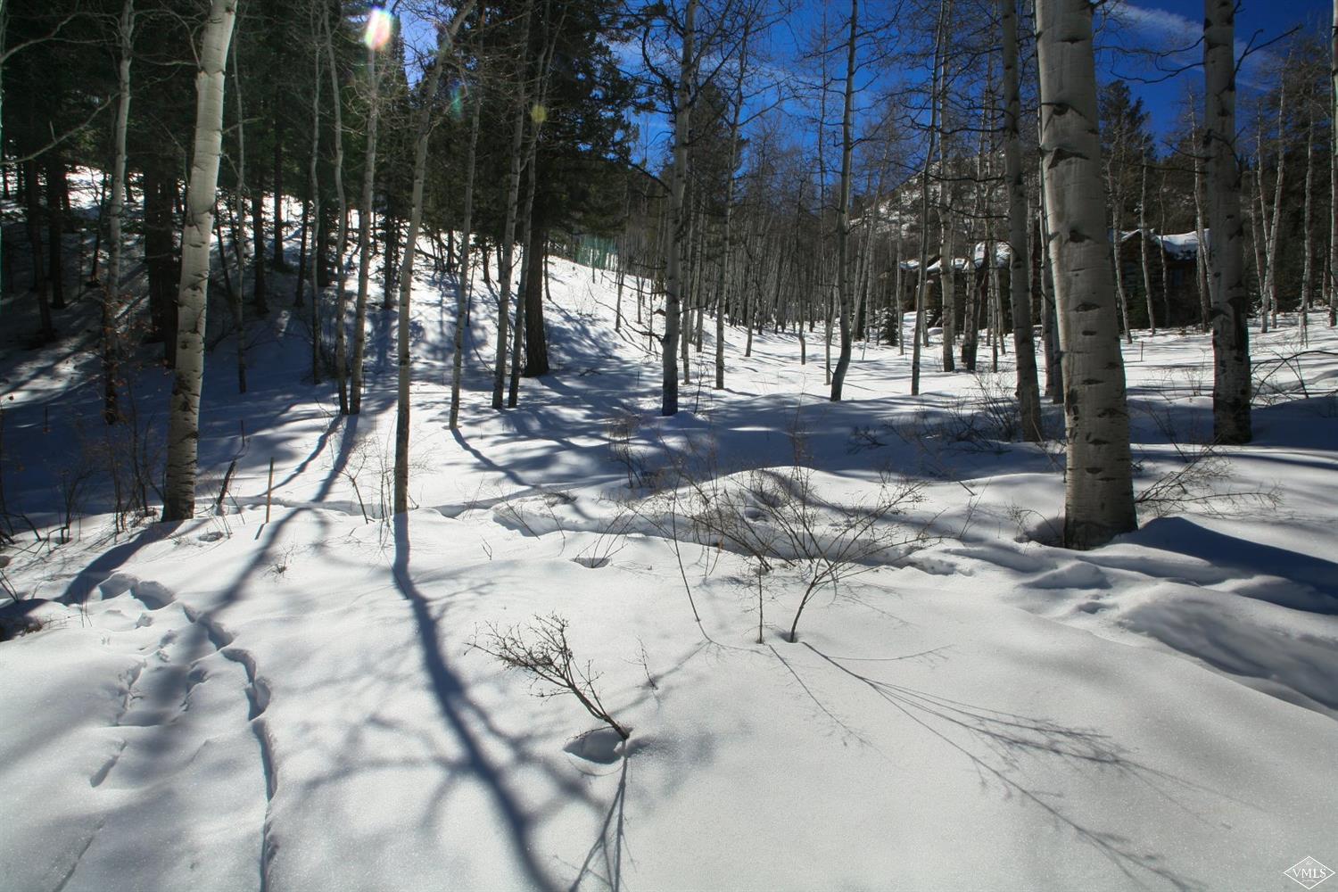 205 Elk Spring Trail Edwards, CO 81632 - Photo 19 of 22 Additional Photo