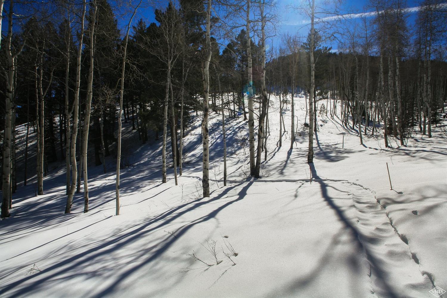 205 Elk Spring Trail Edwards, CO 81632 - Photo 20 of 22 Additional Photo