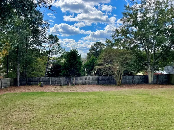 a view of a yard with a tree