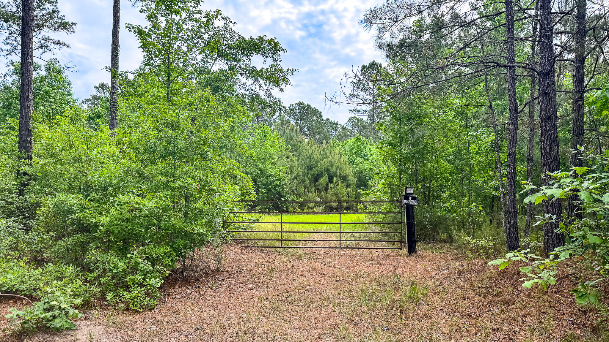1034 Tuten Road Jacksonboro, SC 29452 - Photo 24 of 77 Hayne HallSC Land for Sale-25