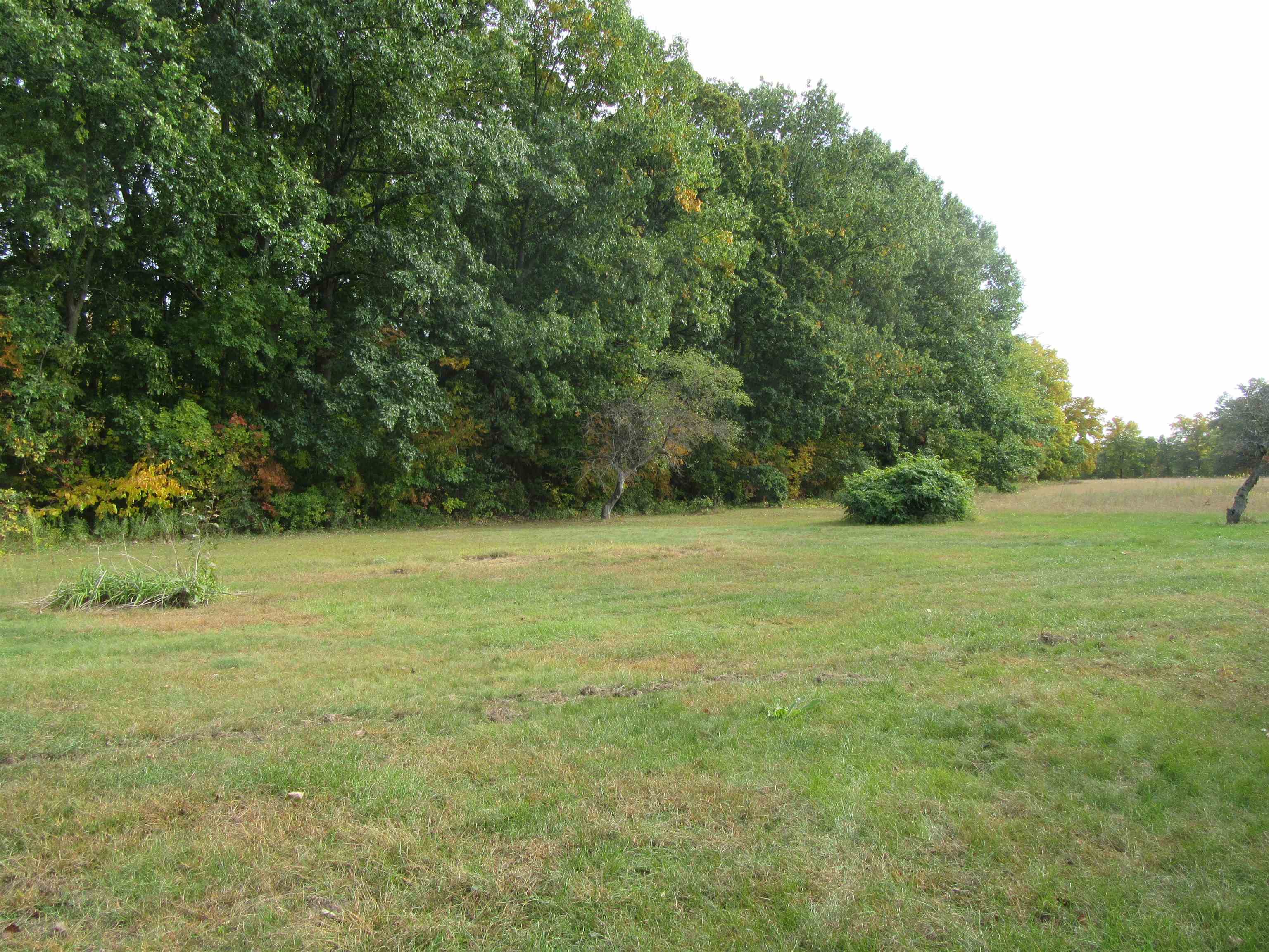 50091673-2.JPG