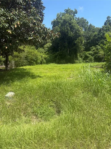a view of yard with green space