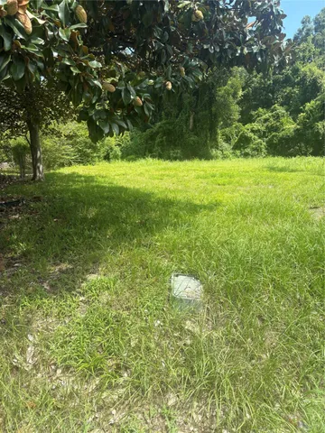 a view of yard with green space