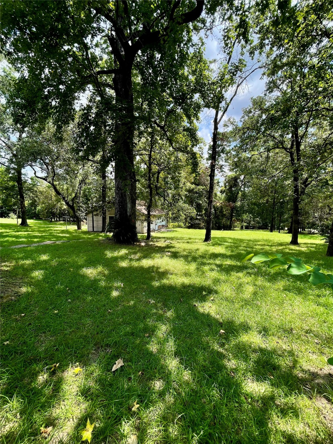 10074 Overbrook Drive Conroe, TX 77304 - Photo 22 of 22 a big yard with lots of green space and trees