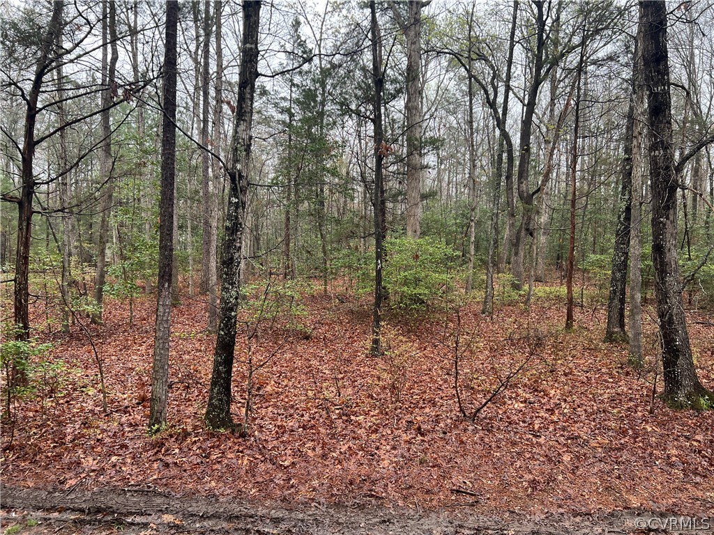 1624 Old Hundred Road Midlothian, VA 23112 - Photo 21 of 30 Gallery Image 21