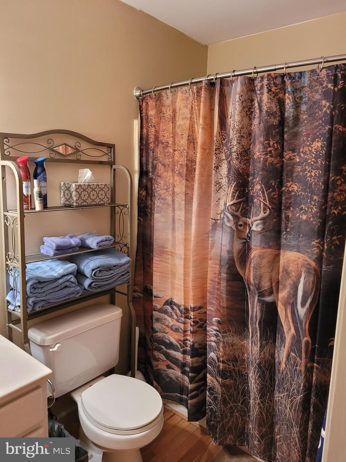 24 Cardinal Road Pine Grove, PA 17963 - Photo 15 of 20 Main Hallway Bathroom