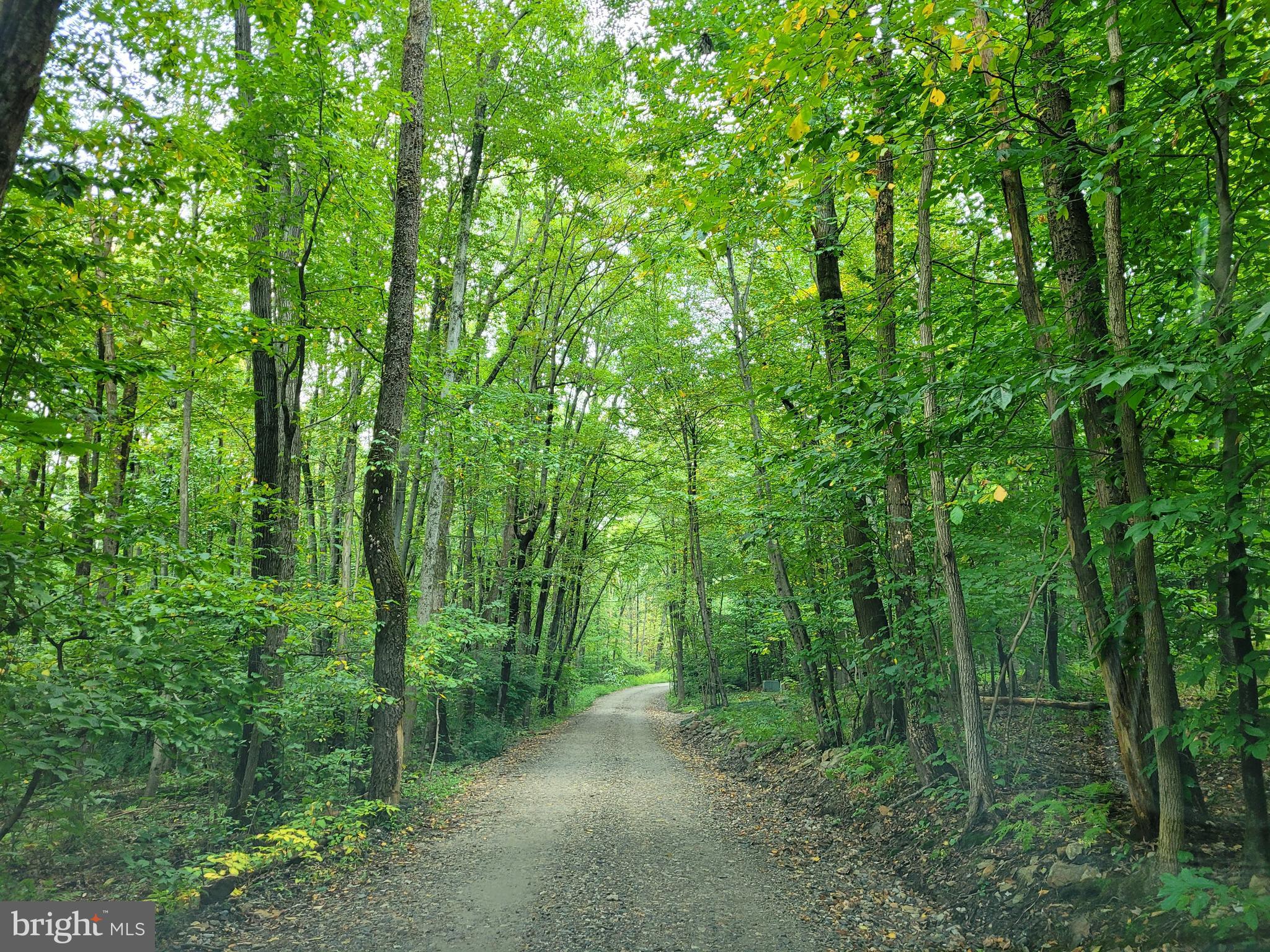 24 Cardinal Road Pine Grove, PA 17963 - Photo 4 of 20 Cardinal Road to Property