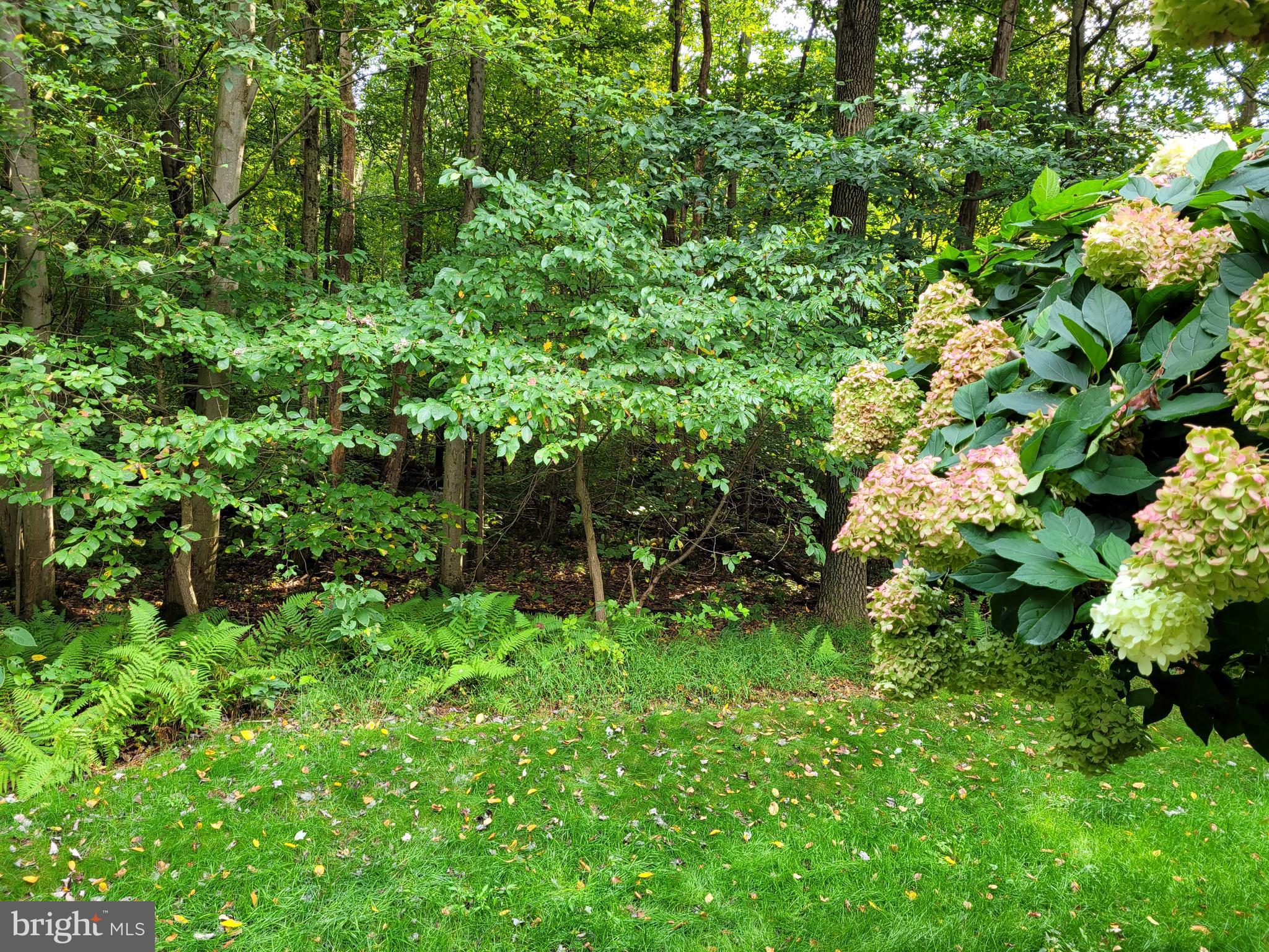 24 Cardinal Road Pine Grove, PA 17963 - Photo 5 of 20 Back side of Property