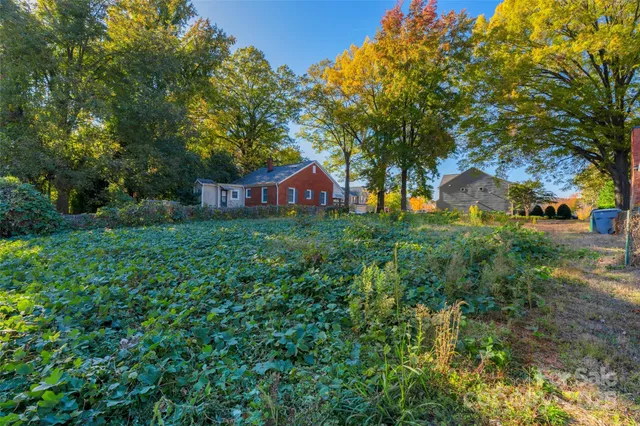 a view of a big yard with plants and large trees