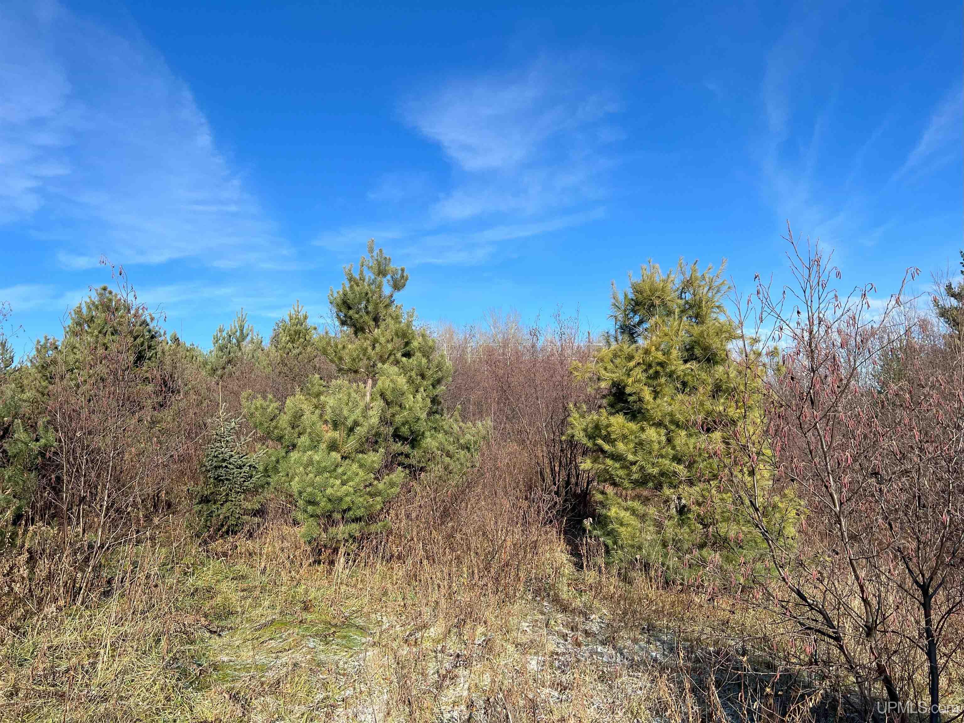 Tbd Indianhead Road, Unit US2 FRONTED Wakefield, MI 49968 - Photo 11 of 20 Gallery Image 11