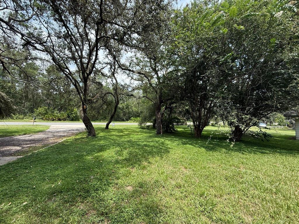 33248 Ridge Manor Boulevard Dade City, FL 33523 - Photo 20 of 20 a view of a garden with trees