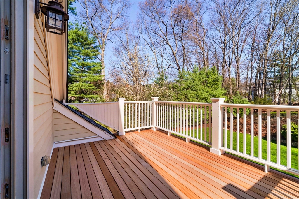 151 Hampshire Road Wellesley, MA 02481 - Photo 25 of 39