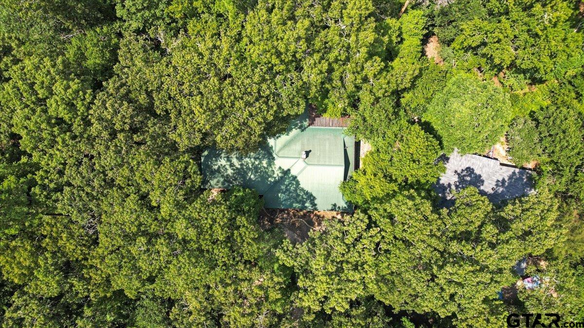 2040 Valleywood Trail Holly Lake Ranch, TX 75765 - Photo 42 of 48