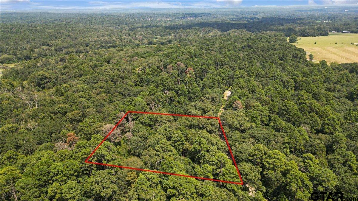 2040 Valleywood Trail Holly Lake Ranch, TX 75765 - Photo 43 of 48