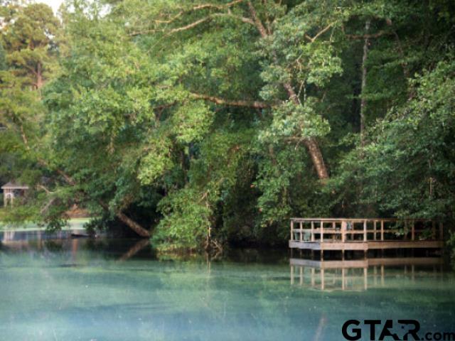 2040 Valleywood Trail Holly Lake Ranch, TX 75765 - Photo 46 of 48