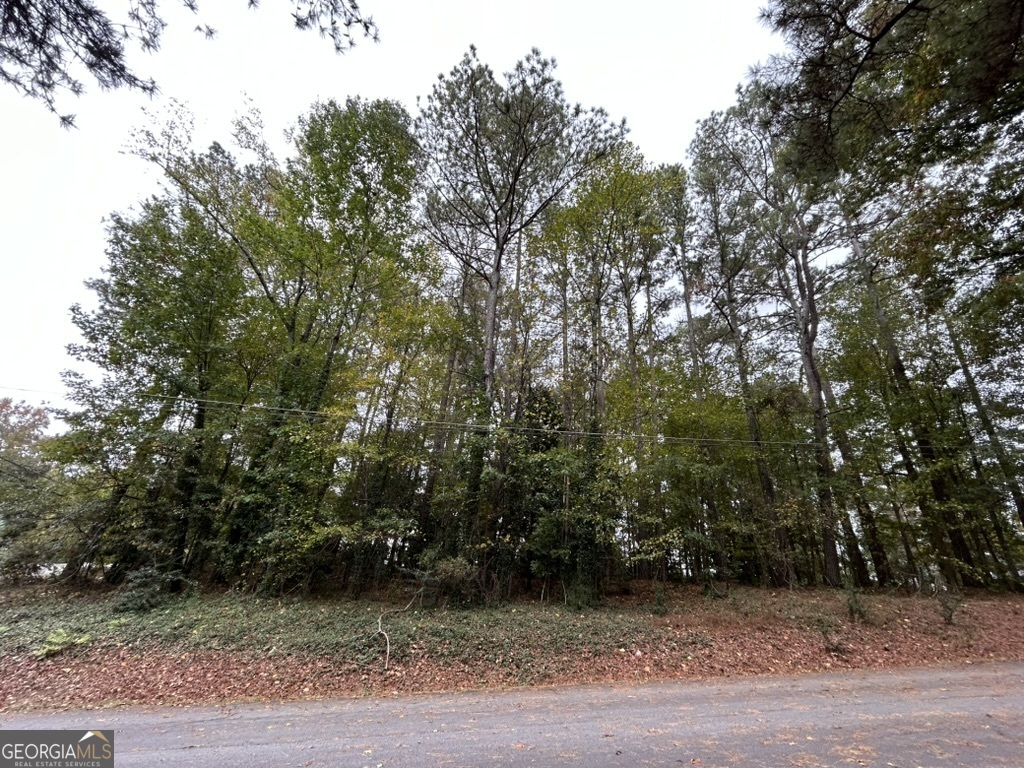 464 Abbott Road Southwest Conyers, GA 30094 - Photo 3 of 6