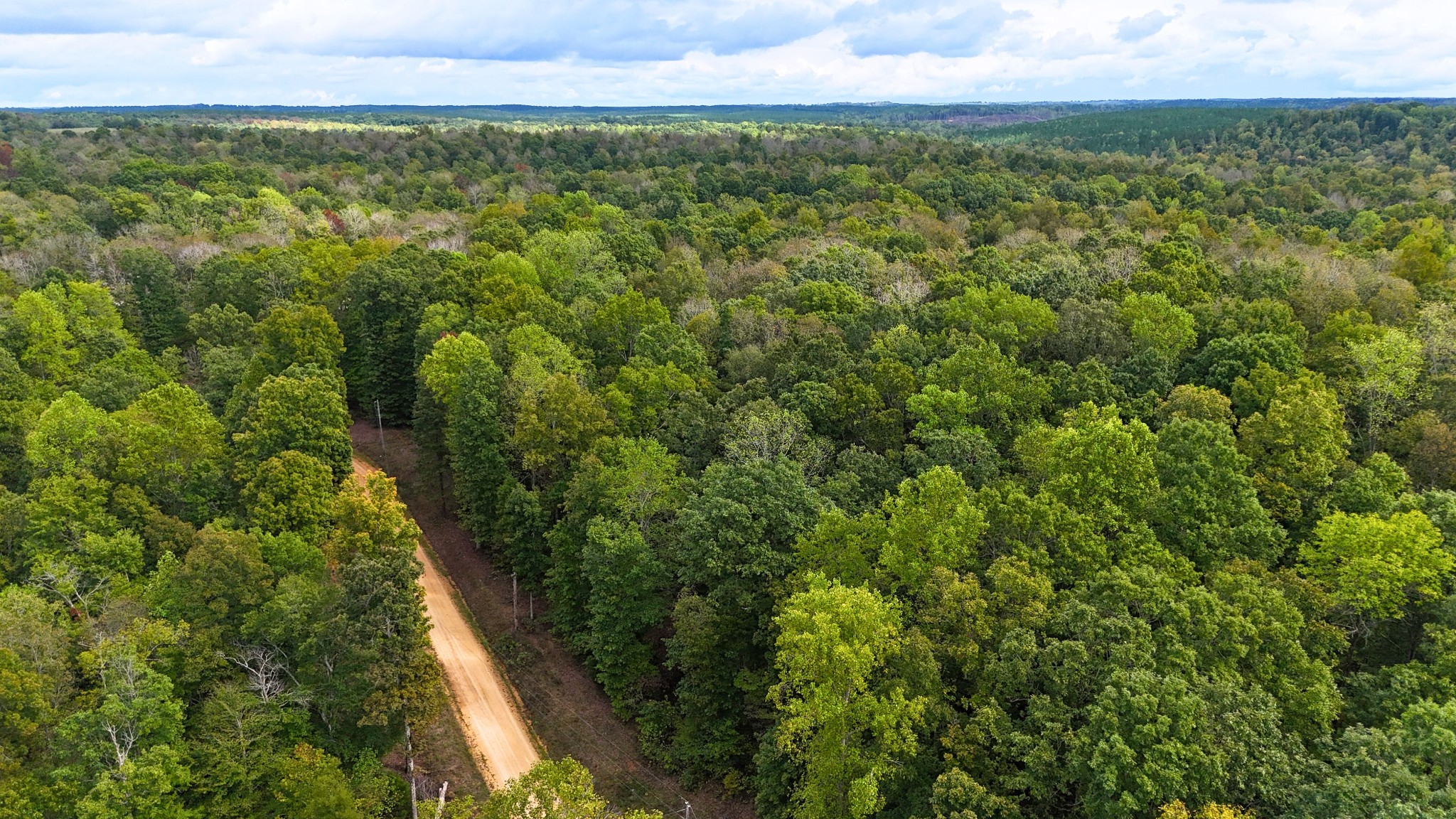 0 Cherokee Creek Waynesboro, TN 38485 - Photo 1 of 5 a view of a yard with an outdoor space