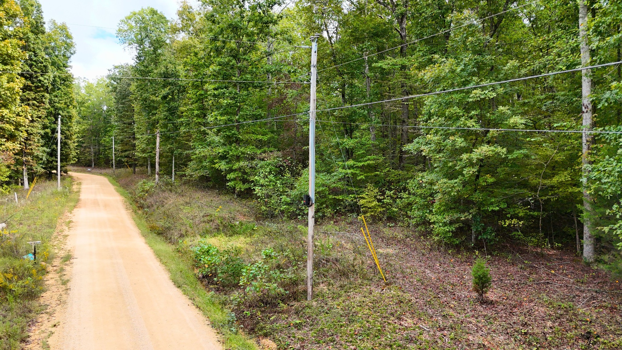 0 Cherokee Creek Waynesboro, TN 38485 - Photo 2 of 5 a view of a backyard with plants