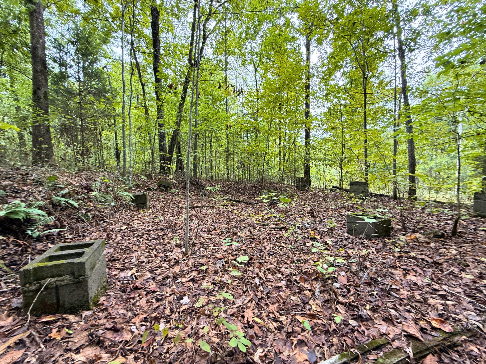 0 Cherokee Creek Waynesboro, TN 38485 - Photo 5 of 5 a view of a garden with trees