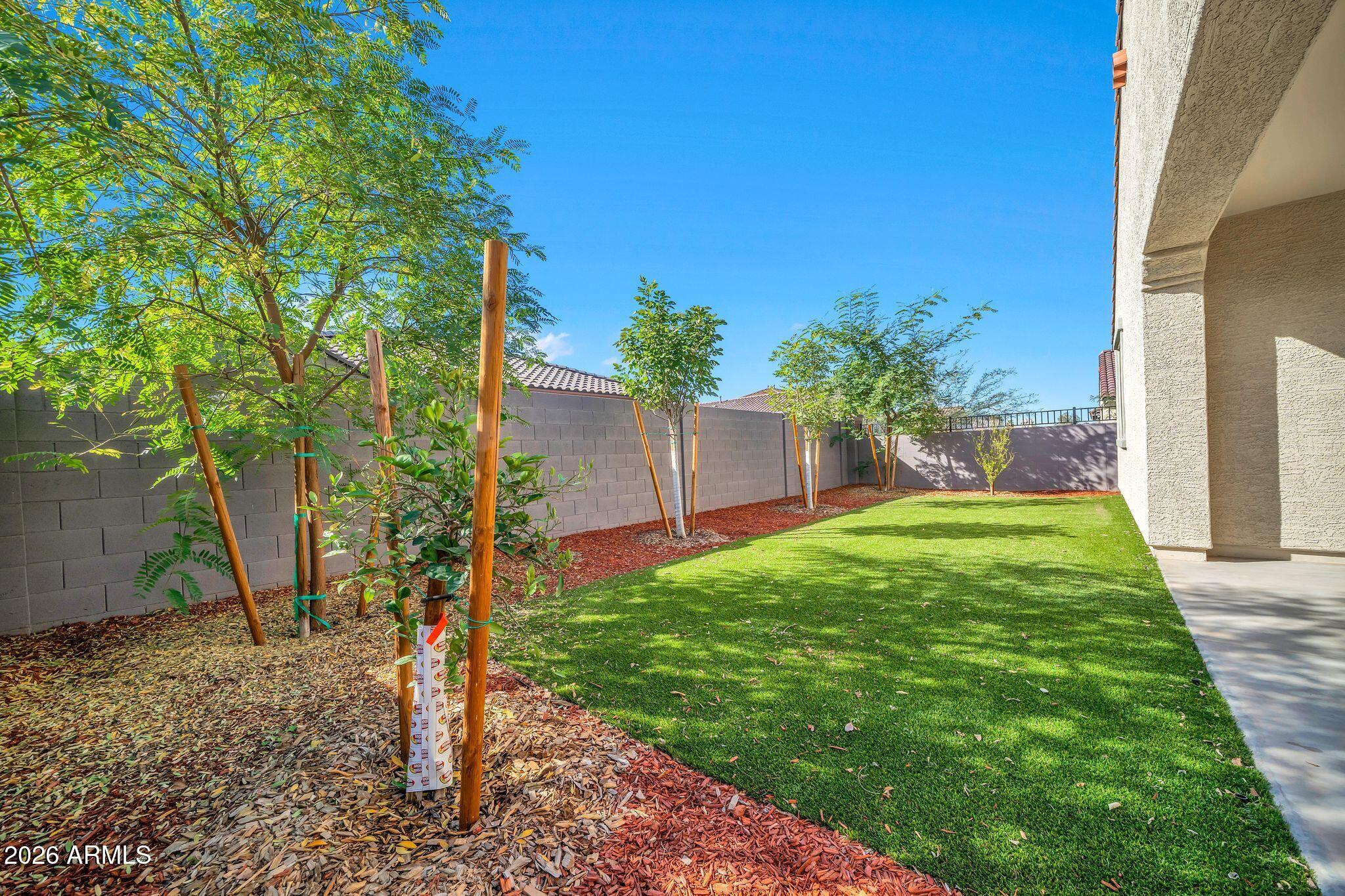 10223 West Piccadilly Road Avondale, AZ 85392 - Photo 26 of 35 a view of a backyard with a tree