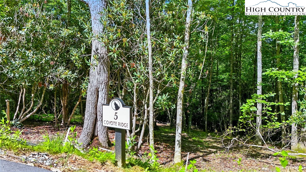 Lot R5 Coyote Trail Boone, NC 28607 - Photo 3 of 12