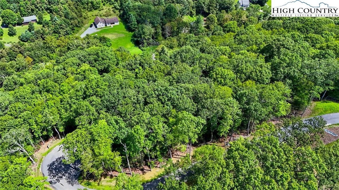 Lot R5 Coyote Trail Boone, NC 28607 - Photo 10 of 12