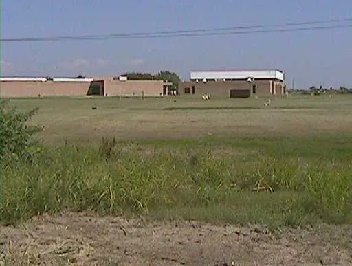 a view of a big yard with large trees