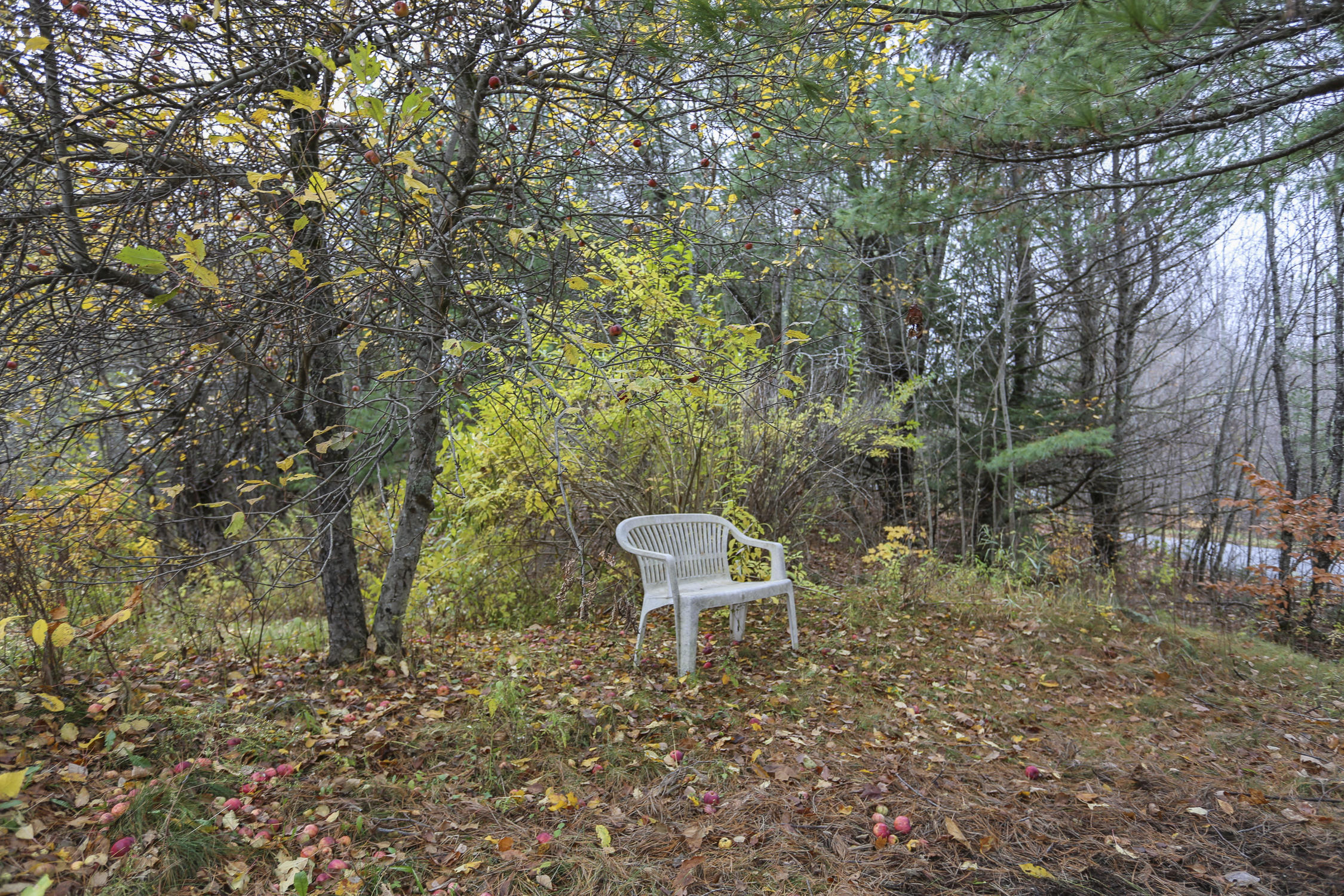263 Village Road Jackson, ME 04921 - Photo 38 of 40 VillageRdJackson-38