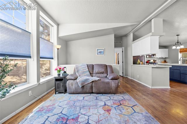 391 Kutsu Ridge Road Florissant, CO 80816 - Photo 10 of 50 Gallery Image 10