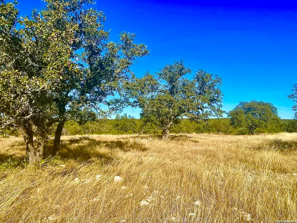 a view of lake with mountain
