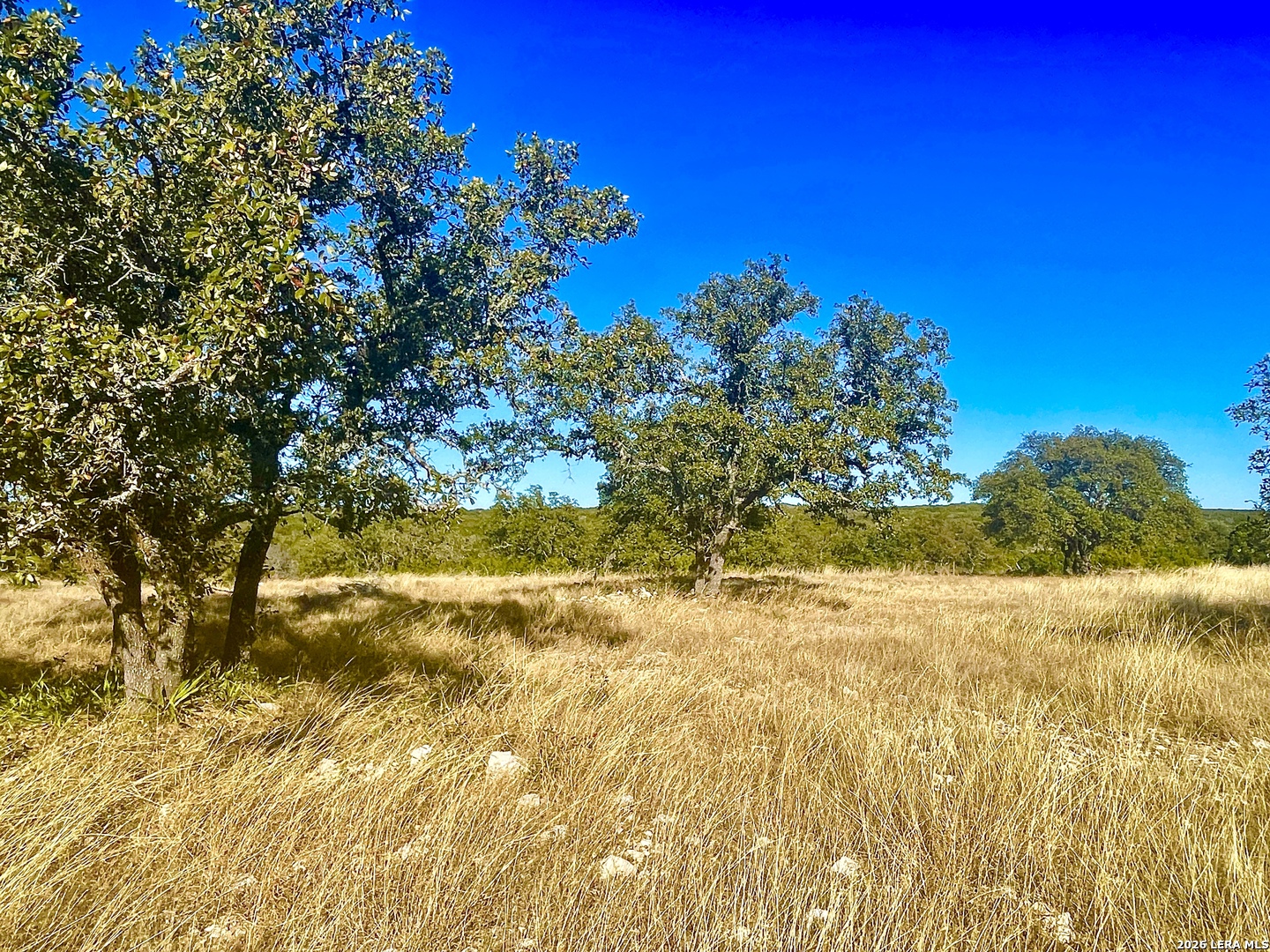 Tbd Tbd Lester Ln Junction Junction, TX 76849 - Photo 4 of 12
