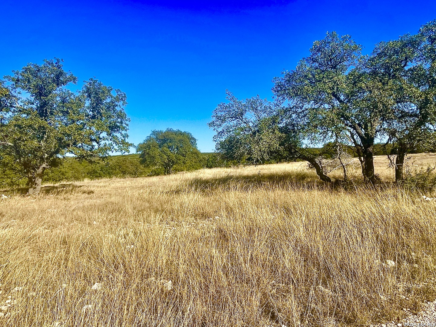 Tbd Tbd Lester Ln Junction Junction, TX 76849 - Photo 5 of 12