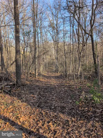 $1,399,999 | 11125 Pne Vw Ests Court, Nokesville, VA 20181
