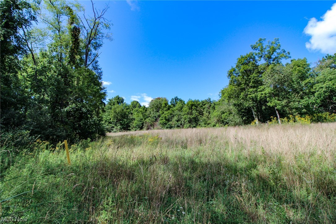 Dump Road Cadiz, OH 43907 - Photo 10 of 19 View of mother earth's splendor