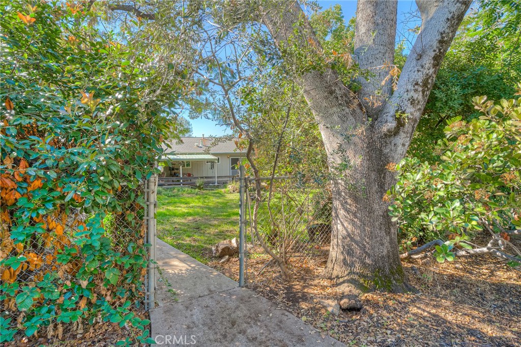 1361 Mt Ida Road Oroville, CA 95966 - Photo 34 of 44 a view of a yard in a garden
