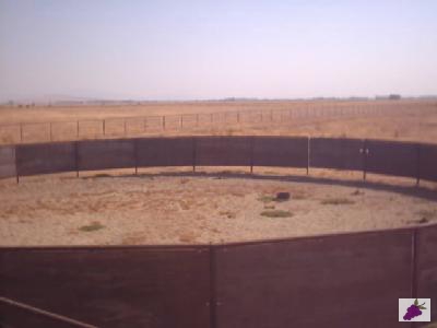 11291 Tollhouse Road Clovis, CA 93619 - Photo 10 of 10