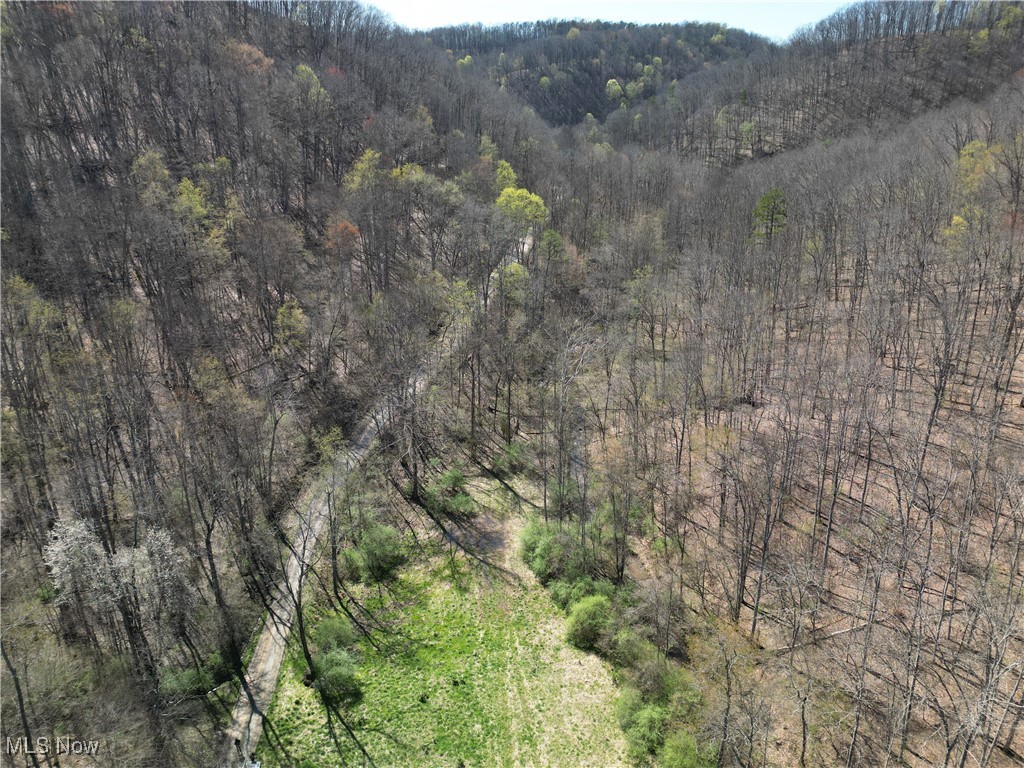 Rush Run Road Arnoldsburg, WV 25234 - Photo 3 of 11 Gallery Image 3