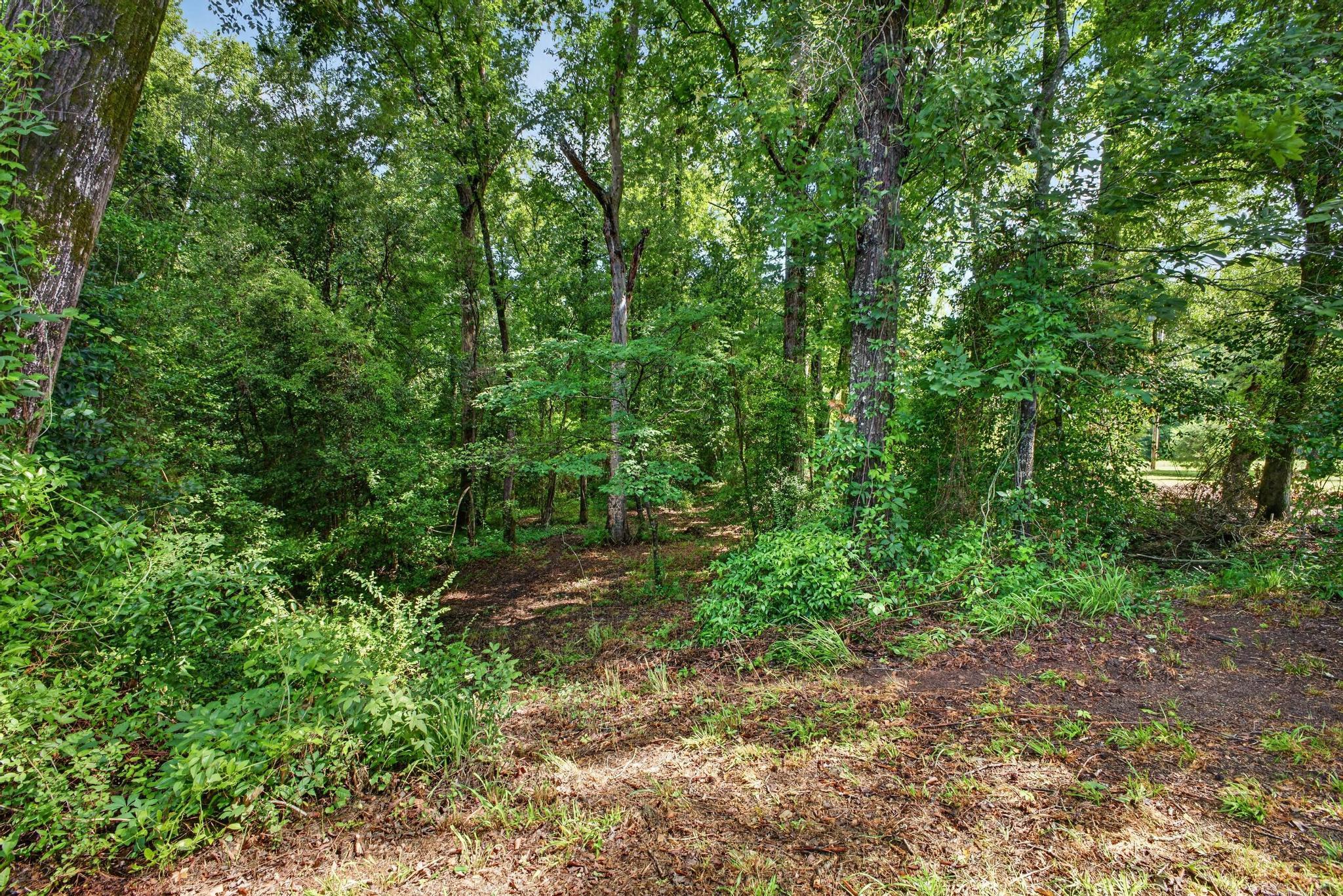 1611 Dixired Road Leesville, SC 29070 - Photo 73 of 84
